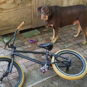 Meet your Posher, Justin